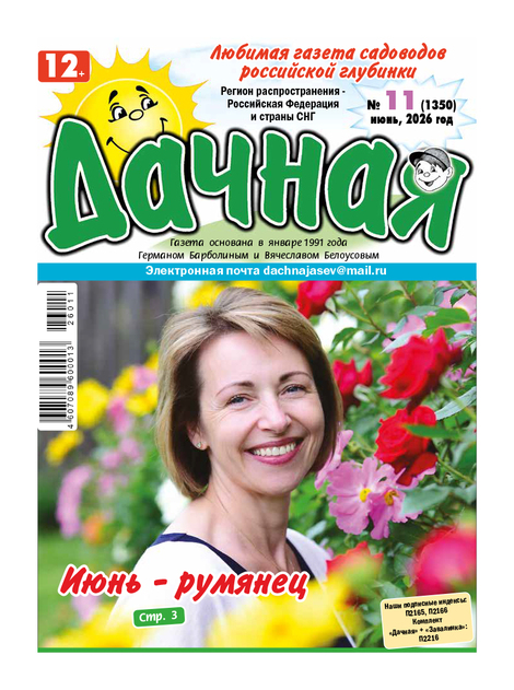 Дачная