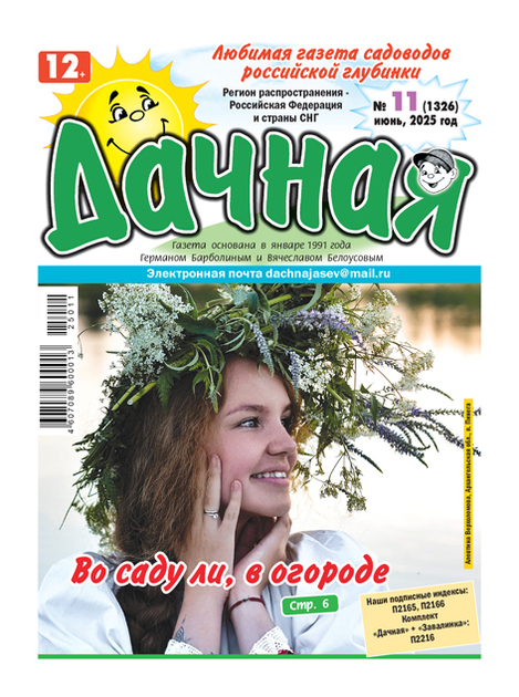 Дачная