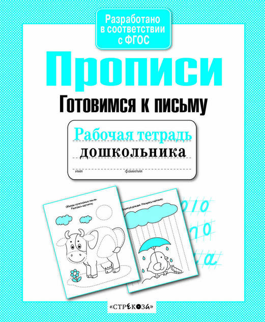 Рабочая тетрадь дошкольника. Серия образовательных тетрадей