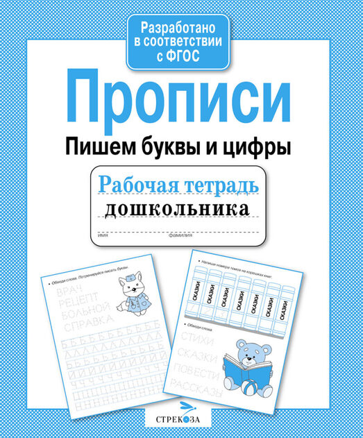 Рабочая тетрадь дошкольника. Серия образовательных тетрадей