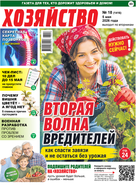 Хозяйство