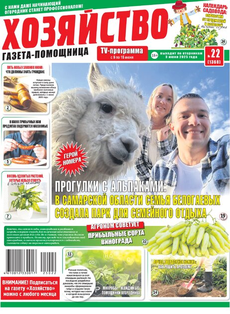 Хозяйство