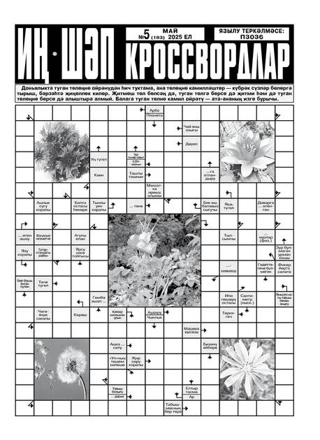 Ин шэп кроссвордлар / Самые лучшие кроссворды (на татарском языке)