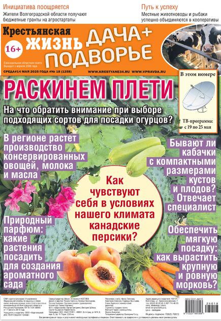 Крестьянская жизнь
