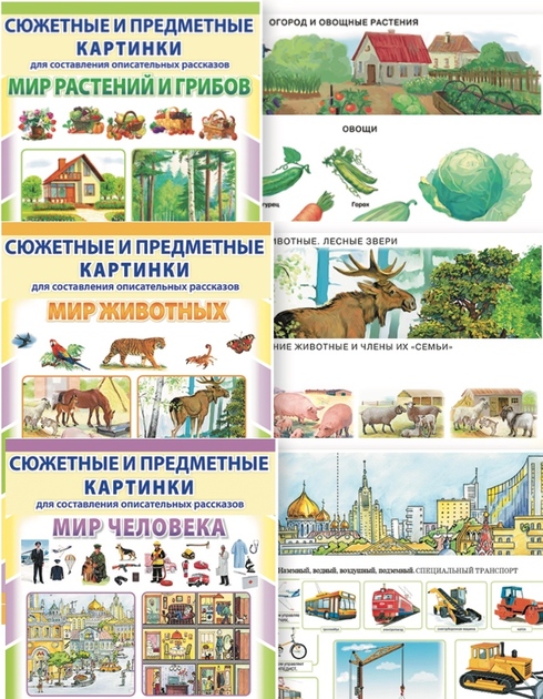 Сюжетные и предметные картинки + Опорные схемы для составления описательных рассказов и развития связной речи. 6 кн.