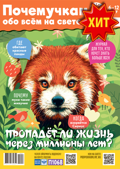 Почемучкам обо всем на свете