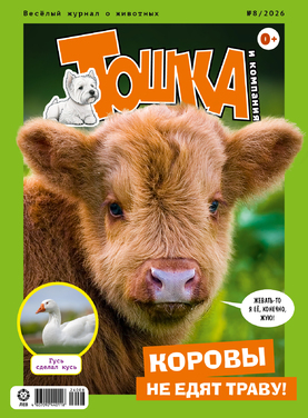 Тошка и компания