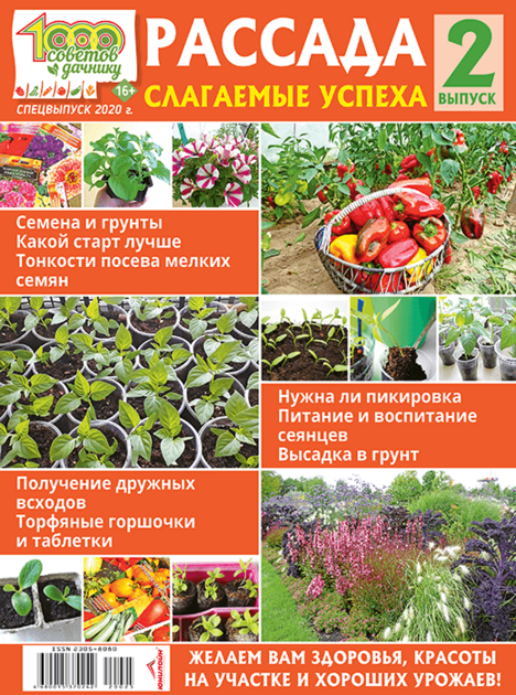Рассада: слагаемые успеха. Посевной календарь. Спецвыпуск "1000 советов дачнику"