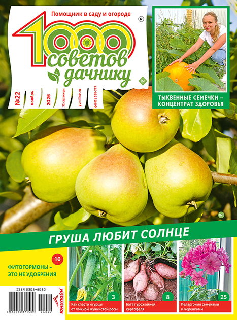 1000 советов дачнику