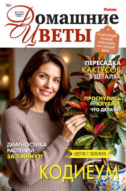 Домашние цветы