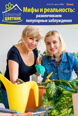 Комнатный цветник