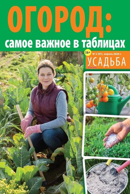 Толока. Усадьба