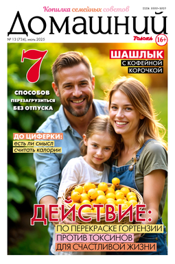 Домашний