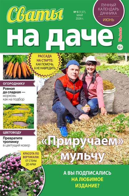Сваты на даче