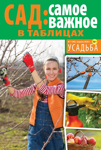 Толока. Усадьба