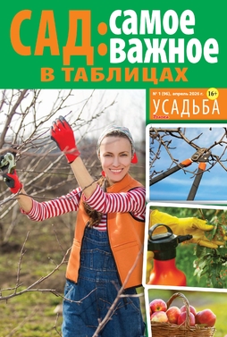Толока. Усадьба
