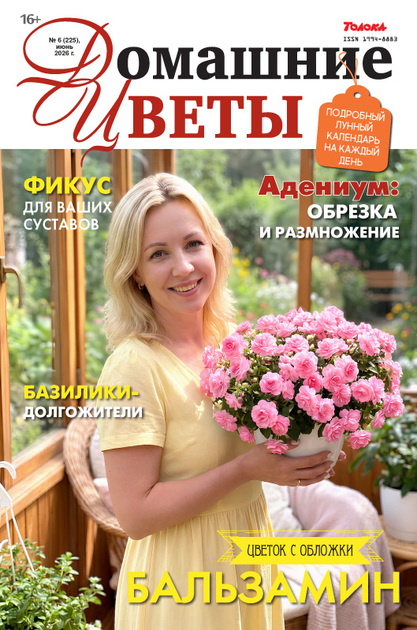 Домашние цветы