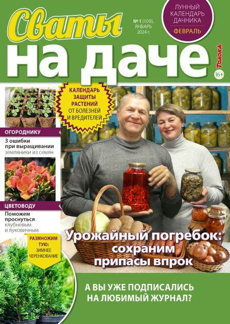 Сваты на даче