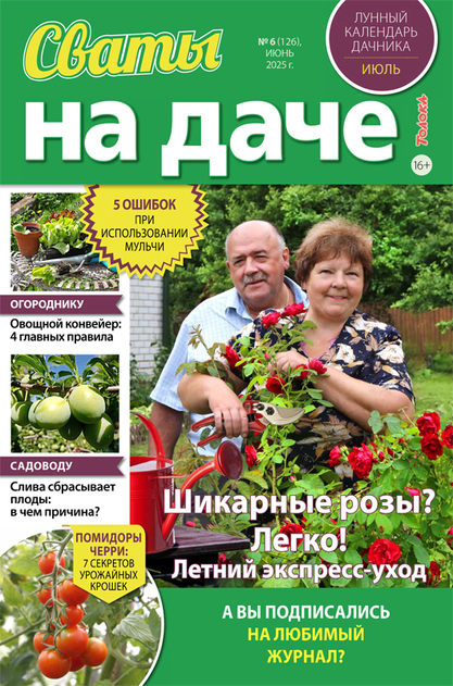 Сваты на даче