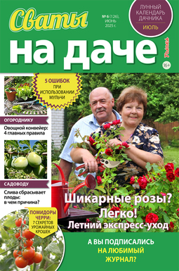 Сваты на даче
