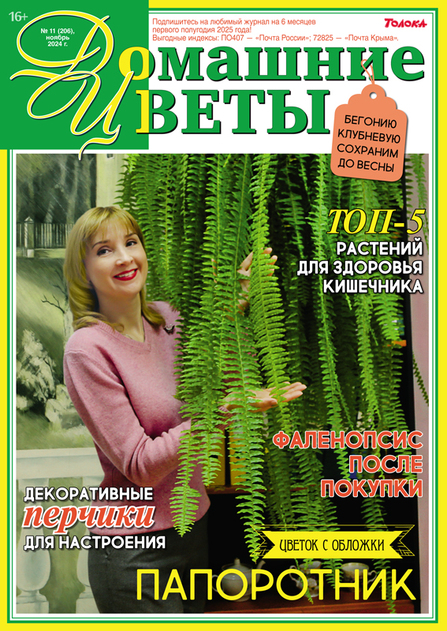 Домашние цветы