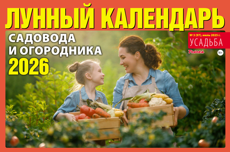 Толока. Усадьба