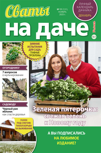 Сваты на даче