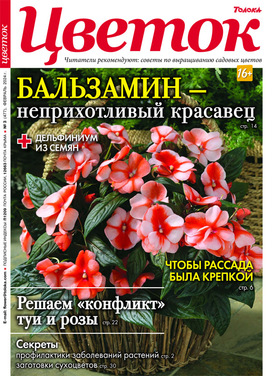 Дизайн сада и огорода своими руками: картинки, иллюстрации и фото, как красиво оформить сад-огород