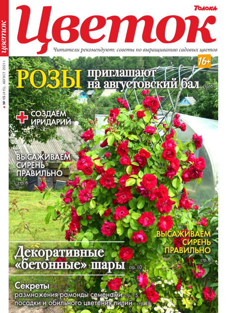 Цветок