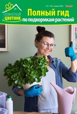 Комнатный цветник