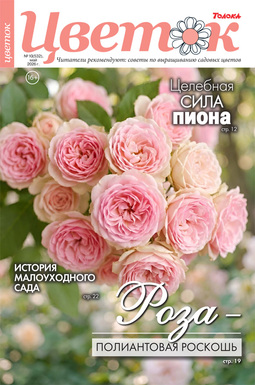Цветок