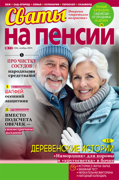 Сваты на пенсии